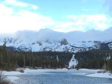 Mountainback #37 Den