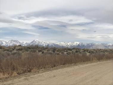 Mountainback #37 Den