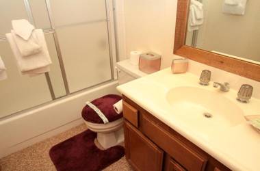 Mountainback #33 Den