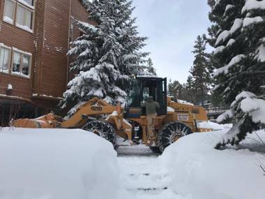 Mountainback #17 Den