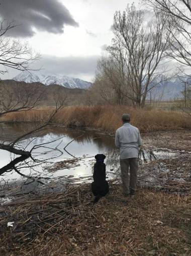 Mountainback #49 Den