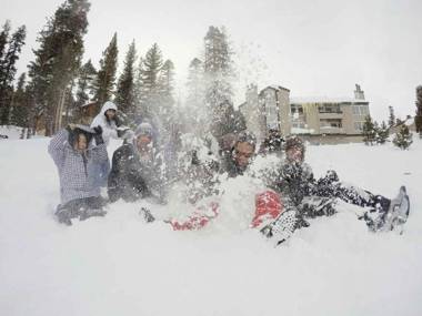 Mountainback #49 Den