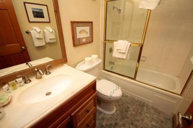 Mountainback #49 Den