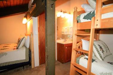 Discovery 4 #152 Loft Pet Ok