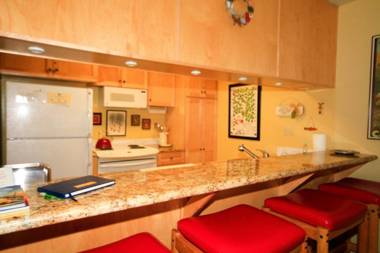 Discovery 4 #142 Loft