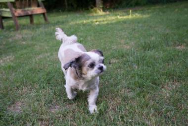 River View Garden Resort