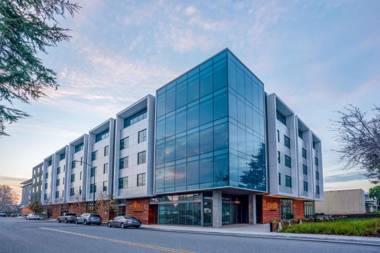 Shashi Hotel Mountain View an Urban Resort