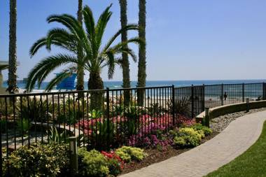 D5 - California Dreamin'