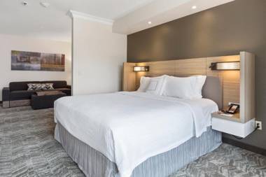 SpringHill Suites by Marriott Sacramento Natomas