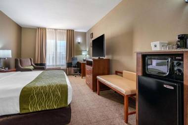 Comfort Inn & Suites Sacramento – University Area