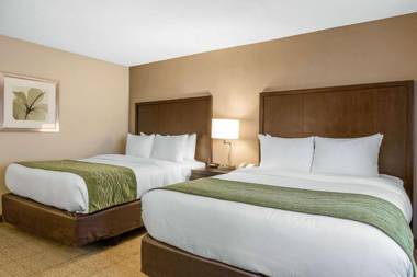 Comfort Inn & Suites San Diego Zoo SeaWorld Area