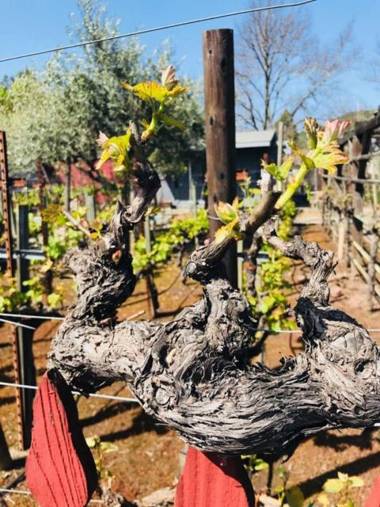 Andrea's Hidden Cottage