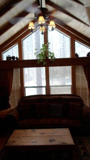 Cedar Pines Resort