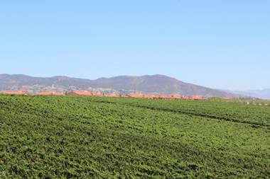 Carter Estate Winery and Resort