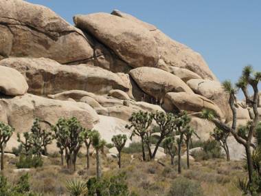 Fairfield Inn & Suites Twentynine Palms - Joshua Tree National Park