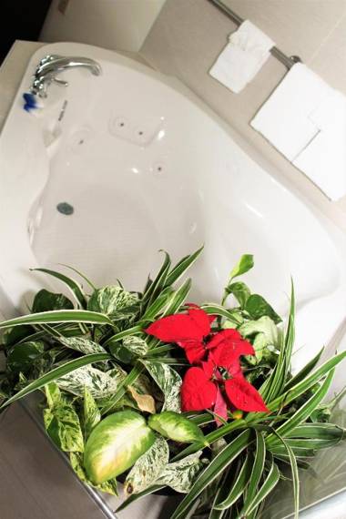 Best Western Visalia Hotel