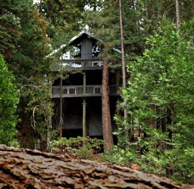 Tree House Lodge