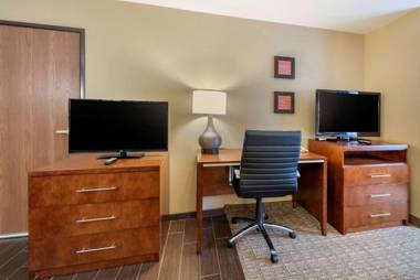 Comfort Inn & Suites Alamosa