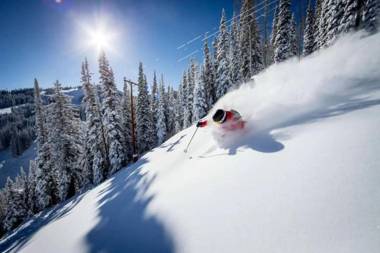 HOLT - Glorious & Rugged Heart of Aspen Studio