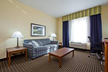 Holiday Inn Express and Suites Denver East Peoria Street an IHG Hotel