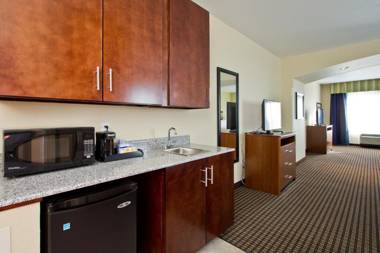 Holiday Inn Express and Suites Denver East Peoria Street an IHG Hotel