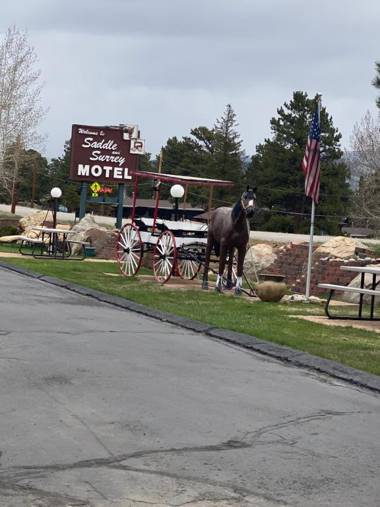 Saddle & Surrey Motel