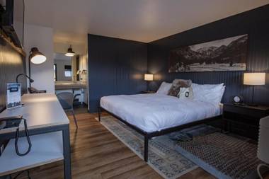 Gravity Haus Winter Park