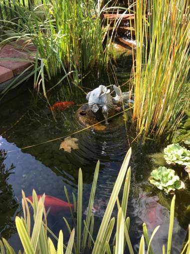 Downtown B&B with Jacuzzi