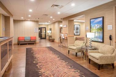 Hampton Inn and Suites Denver/South-RidgeGate