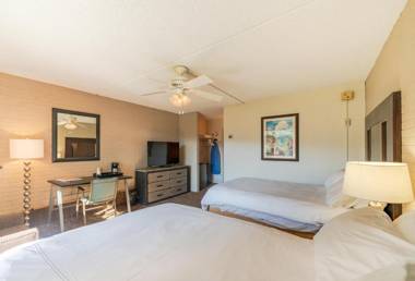 Mountain Chalet Snowmass