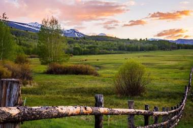 Willows a Destination by Hyatt Residence