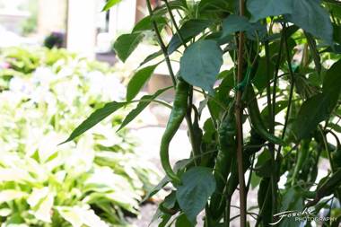 Hilton Wilmington/Christiana