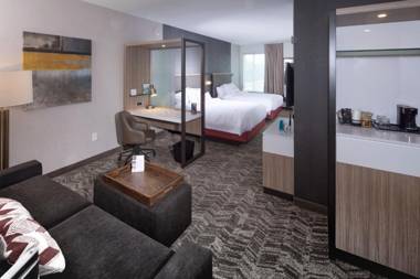 Springhill Suites By Marriott Newark Downtown