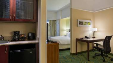 SpringHill Suites St Petersburg Clearwater