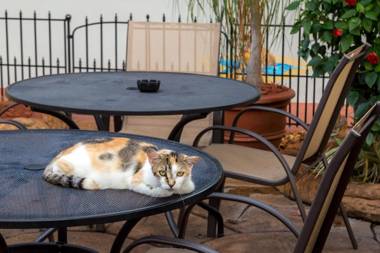 Richard's Pet Friendly Motel