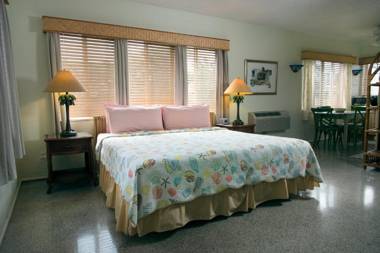 The Desoto - Oceanview Inn