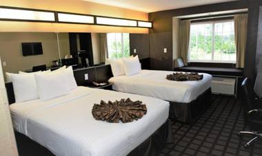 Microtel Inn & Suites by Wyndham Jacksonville Airport