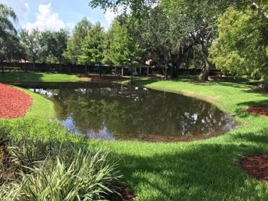 Lucaya Village Resort By Viva Homes Intl