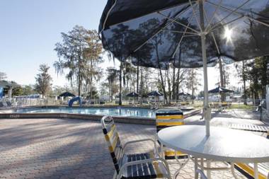 Sherwood Forest Premium Loft Cottage 13