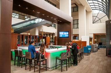 Hilton Miami Airport Blue Lagoon