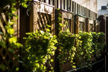 Suites on South Beach