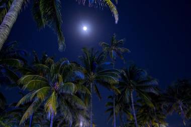 Crescent Resort On South Beach By Diamond Resorts