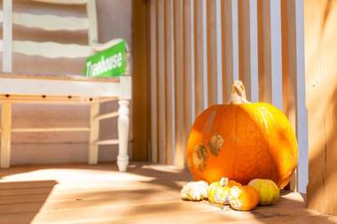 Home by Beach 5 - The Treehouse