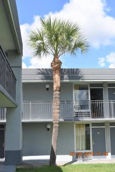 Super 8 by Wyndham Ocala I-75