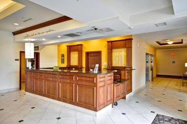 Hilton Garden Inn Tampa Northwest/Oldsmar