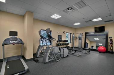 Hampton Inn & Suites Tampa Northwest/Oldsmar