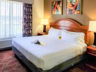 Holiday Inn Express Hotel & Suites Orange City - Deltona an IHG Hotel