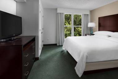 Embassy Suites by Hilton- Lake Buena Vista Resort