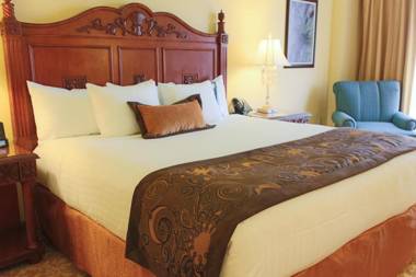 Rosen Shingle Creek Universal Blvd