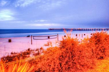 Calypso 1-209 By ZIA VR